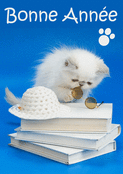 Un chaton espi&egrave;gle pour 2026 en couleur